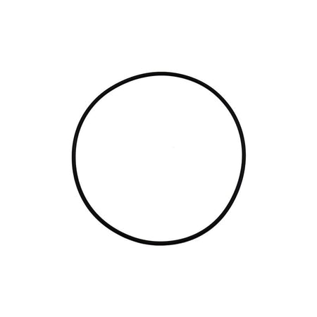 O' Ring Toilet 43990-0066