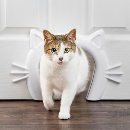 Passaggio per gatti - PETSAFE - CAT CORRIDOR - Bianco