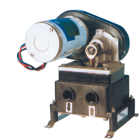 Pompa Bg108 12 V.