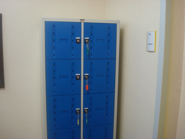 Armadio monoblocco a caselle colorate con ante in abs e struttura metallica cm. 70x47x180h