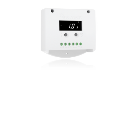 Regolatore Di Carica Pwm 20A 2 Batt