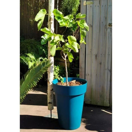 Fioriera RIVIERA SOLEILLA - Plastica - Altezza 53 cm - Blu