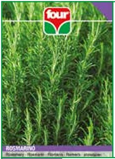 Rosmarino