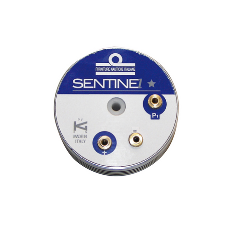Sentinel One Star