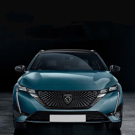 FREGIO ADESIVO 3D PER USO SU PEUGEOT LEONE NERO LUCIDO 6X6.6 ANTERIORE POSTERIORE