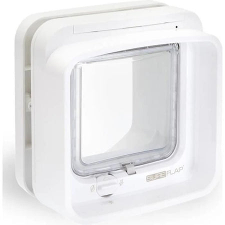 lembo Microchip cat