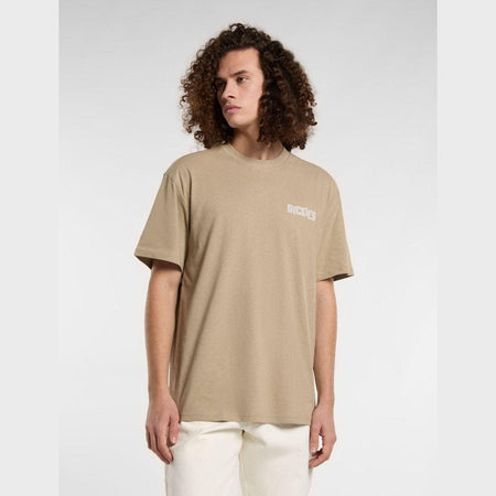 T-shirt Dickies Bricklane desert sand