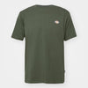 T-shirt Dickies Mapleton olive green