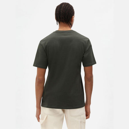 T-shirt Dickies Mapleton olive green