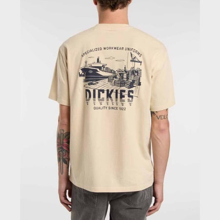 T-shirt Dickies Pelham Wood Ash