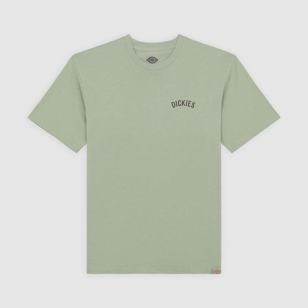 T-shirt Dickies Snake iceberg grey