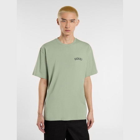 T-shirt Dickies Snake iceberg grey