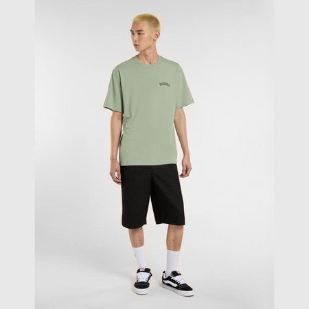 T-shirt Dickies Snake iceberg grey