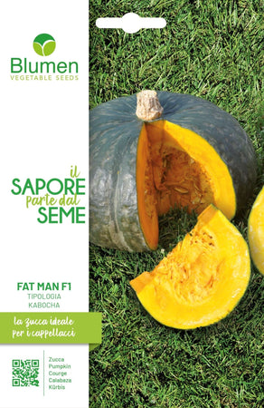 Zucca Fat Man F1 Tipologia Kabocha