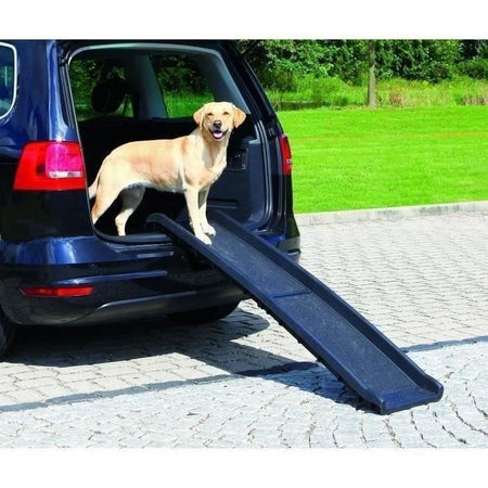 Rampa per gli animali