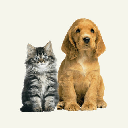 Pets
