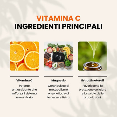 61MB3xY-39L._AC_SL1000_