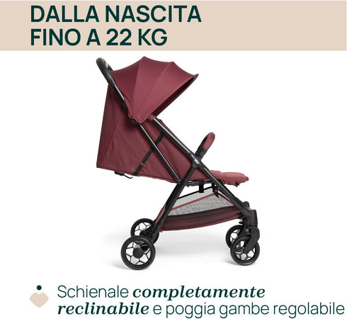 61zgoK1pZ4L._AC_SL1500_