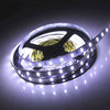 STRIP LED 5050 IP20 BIANCO FREDDO