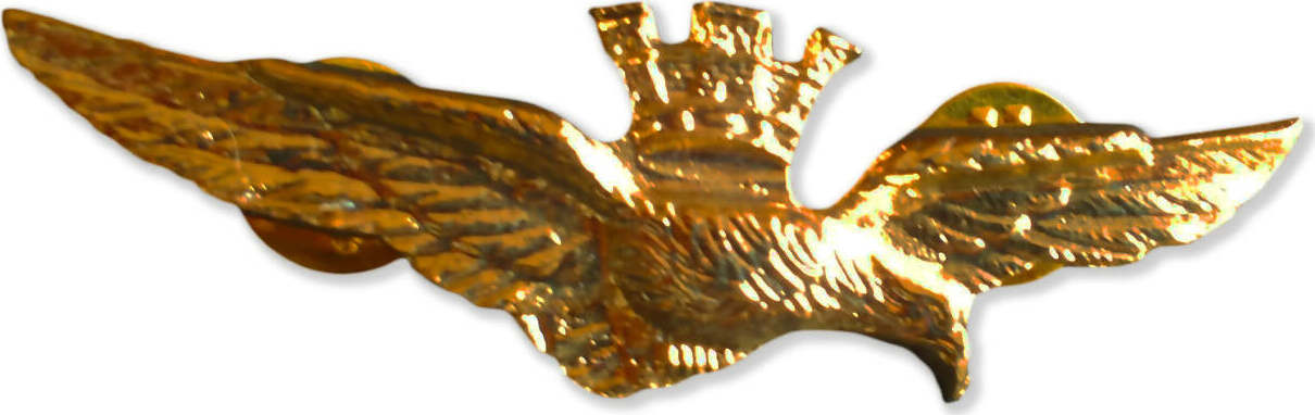 Aeronautica Militare Italiana Spilla Da Giacca Color Oro Aquila Pilota Militare Chiusura Con 2 Clips Aquila In Volo Con Corona Sport e tempo libero/Fan Shop/Cimeli sportivi/Spille e bottoni Il Distintivo - Pesaro, Commerciovirtuoso.it