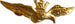 Aeronautica Militare Italiana Spilla Da Giacca Color Oro Aquila Pilota Militare Chiusura Con 2 Clips Aquila In Volo Con Corona Sport e tempo libero/Fan Shop/Cimeli sportivi/Spille e bottoni Il Distintivo - Pesaro, Commerciovirtuoso.it