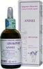 ANISEI-integratore-alimentare-50-ml-Arcangea