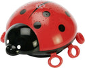 Ansmann-luce-da-notte-a-forma-di-coccinella