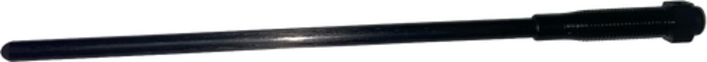 Astina carbonio per abbacchiatore 170mm Confezione da 2pz