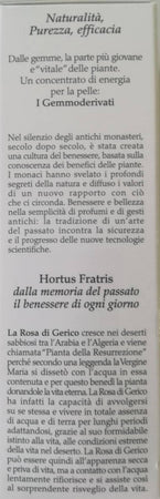BASE FLUIDA EFFETTO SETA 50 ml Crema Viso Alla Rosa di Gerico Idratazione Profonda Viso cura del viso Profumeria Chèri - Locri, Commerciovirtuoso.it