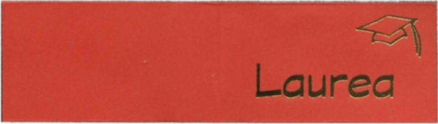 Bigliettino bomboniera personalizzabile - laurea - Rex Sadoch - scatola 25 fogli A4 da 20 biglietti Cancelleria e prodotti per ufficio/Carta blocchi e quaderni/Biglietti e cartoncini/Biglietti di auguri Eurocartuccia - Pavullo, Commerciovirtuoso.it