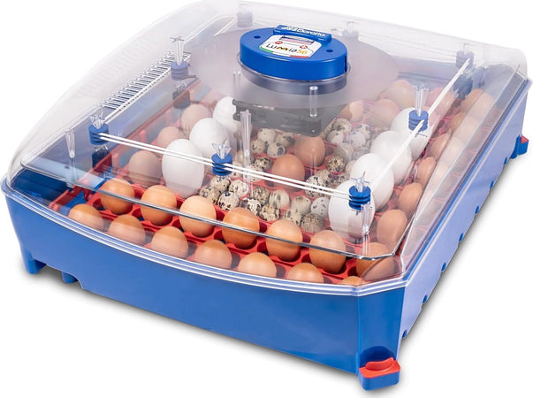 Borotto-LUMIA-56-Automatica---Incubatrice-per-Uova-Professionale-Brevettata,-con-Girauova-Automatico---per-56-Uova-Medio/Grandi