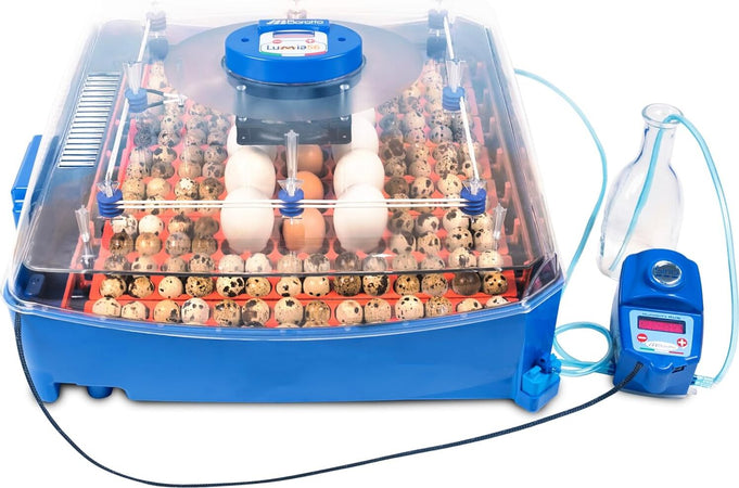 Borotto-LUMIA-56-Expert---Incubatrice-per-uova-Professionale-Brevettata,-Materiale-Termoisolante-con-Antibatterico,-con-Umidificatore-Automatico-Sirio---per-56-Uova-Medio/Grandi-o-224-Uova-Piccole