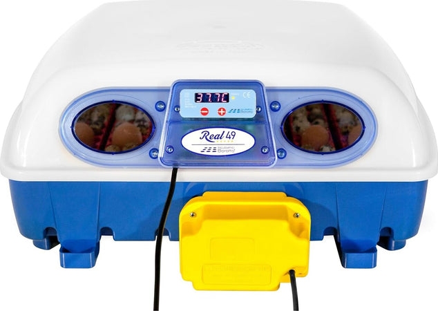 Borotto-Real-49-Plus-Automatica---Incubatrice-Professionale-Brevettata,-Girauova-Automatico,-Materiale-Termoisolante-con-Antibatterico---per-49-Uova-o-196-Uova-Piccole