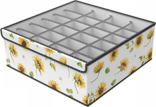 Box-Scatola-Salvaspazio-Armadio-24-Contenitori-Porta-Oggetti-Organizer-32x32x12