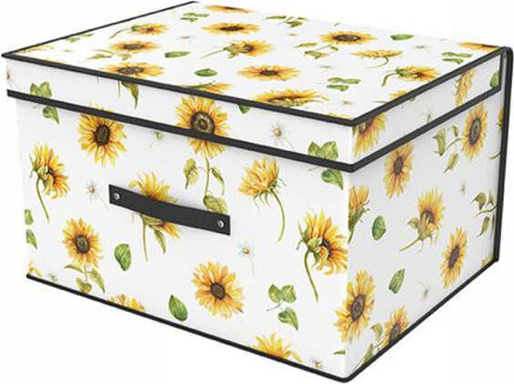 Box-Scatola-Salvaspazio-Armadio-Contenitore-Porta-Oggetti-Organizer-41x35x20