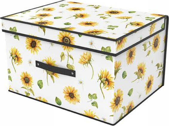 Box-Scatola-Salvaspazio-Armadio-Contenitore-Porta-Oggetti-Organizer-60x40x30-Cm