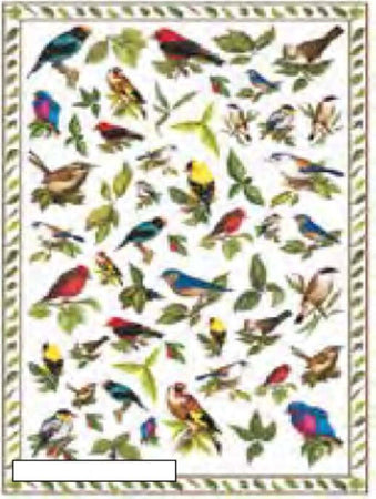 CALAMBOUR---FOGLIO-DI-CARTA-DECOUPAGE-CAL-186
