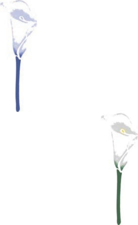 CALAMBOUR-COLLEZIONE-EASY---MASCHERINA-STENCIL-A4-21X29,7CM-CALLA-313