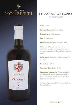 Cantine Volpetti vino Rosso CESANESE IGT LAZIO Bottiglia 750ml imballo sicuro vino Non solo caffè online - Albano Laziale, Commerciovirtuoso.it