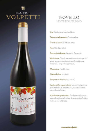 Cantine Volpetti vino Rosso Novello Bottiglia 750ml imballo sicuro vino Non solo caffè online - Albano Laziale, Commerciovirtuoso.it