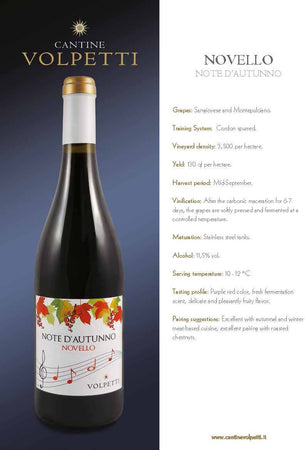 Cantine Volpetti vino Rosso Novello Bottiglia 750ml imballo sicuro vino Non solo caffè online - Albano Laziale, Commerciovirtuoso.it