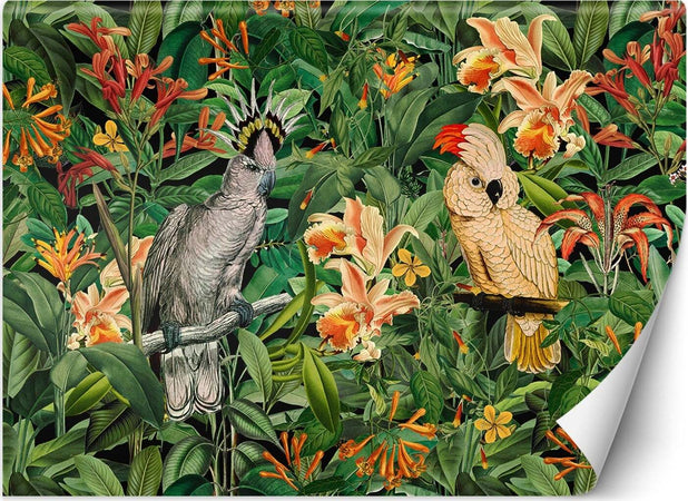 Carta-Da-Parati,-3D-Foglie-tropicali-Pappagalli