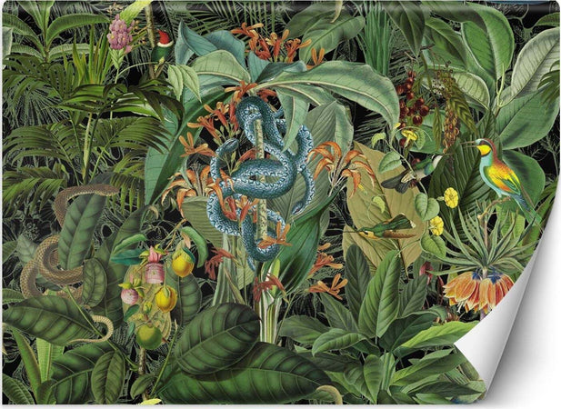 Carta-Da-Parati,-3D-Pappagalli-colorati-nella-giungla