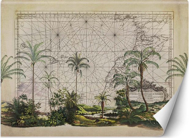Carta-Da-Parati,-Biglietto-da-Palme-Tropical-Foglie