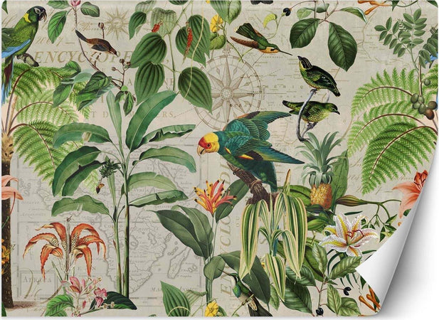 Carta-Da-Parati,-Collage-di-pappagalli-colorati-nella-giungla