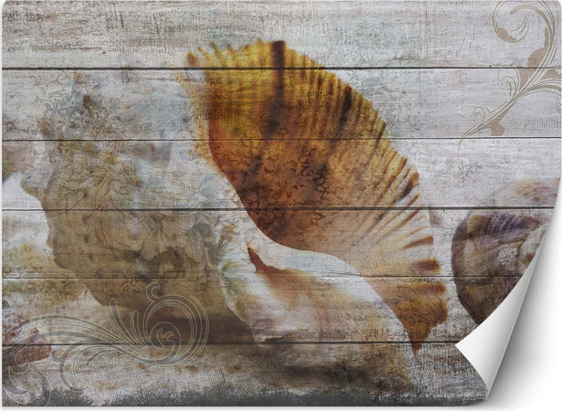 Carta-Da-Parati,-Conchiglie-Legno-Mare-Vintage