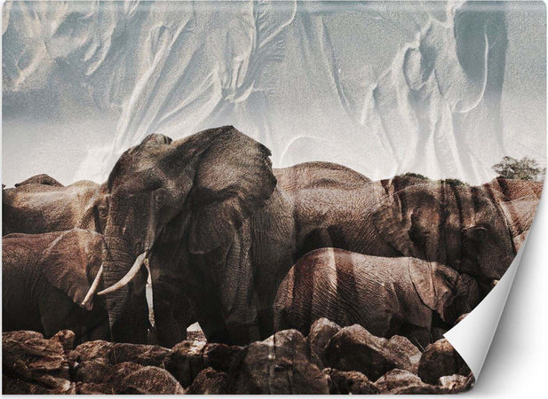 Carta-Da-Parati,-Elefante-Africa-Animale-Natura