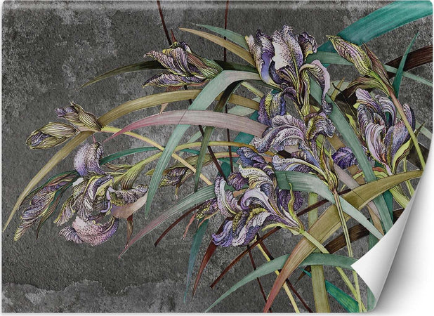 Carta-Da-Parati,-Fiori-di-Iris-Viola-Piante