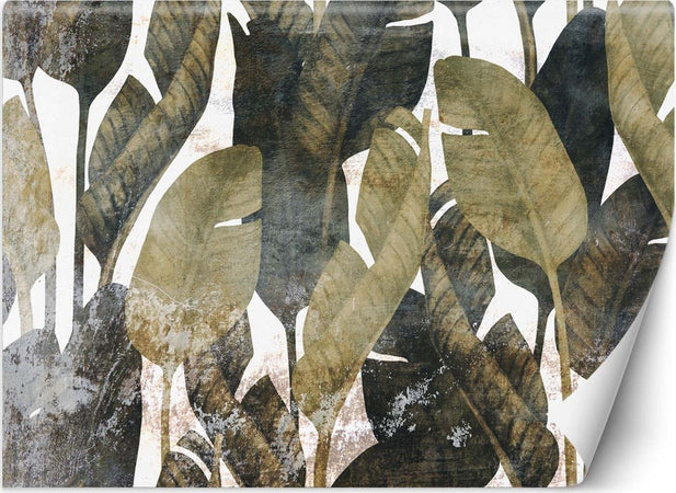 Carta-Da-Parati,-Foglie-di-banano-piante-natura