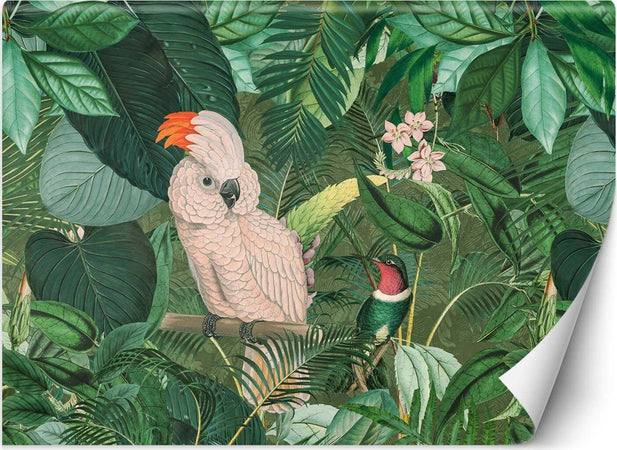 Carta-Da-Parati,-Foglie-di-Monstera-tropicale